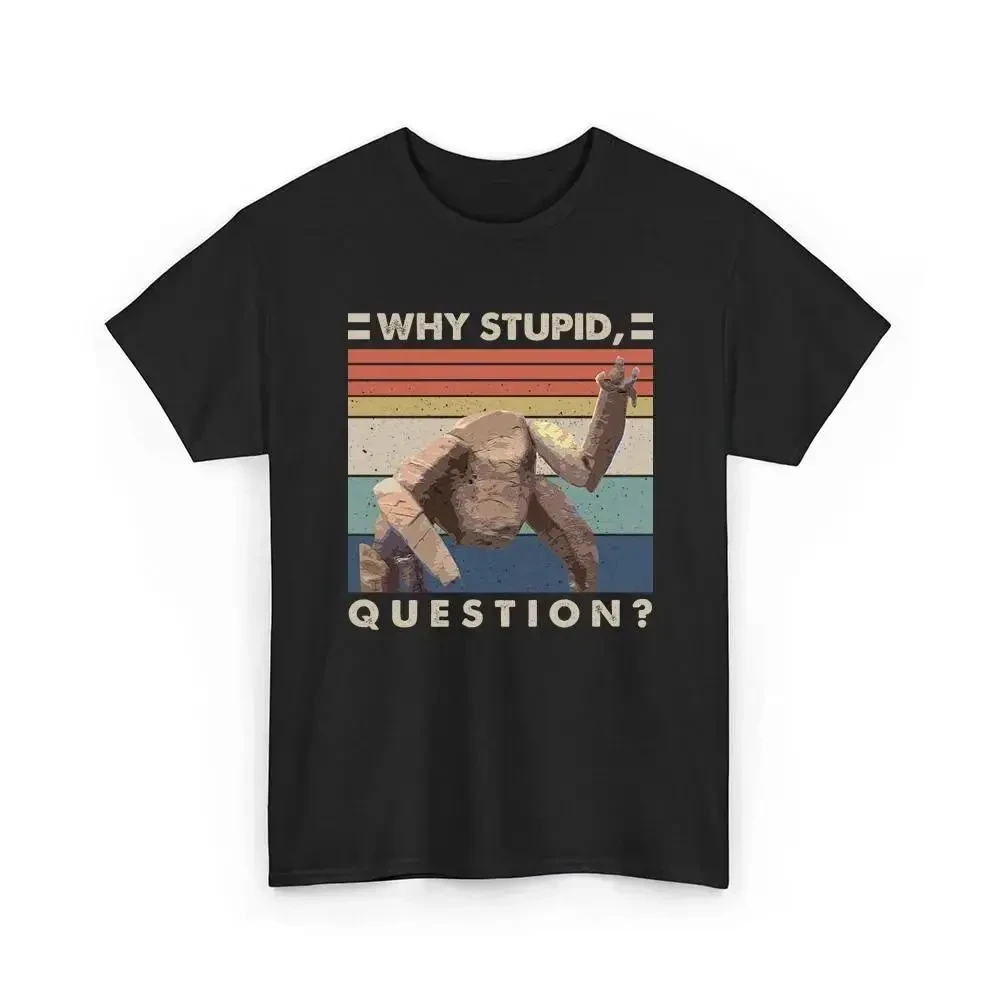 Koszulka 2026 Hail Mary - Rock – Men'S Fashion Questions recenzja i cena